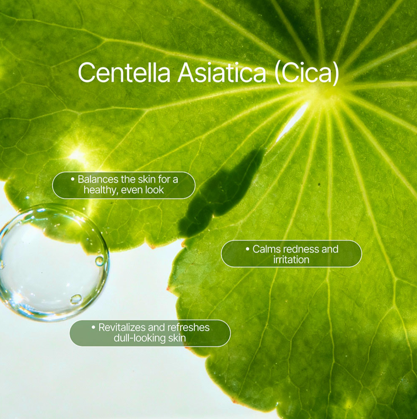 Advanced Multi 7 Peptide + GHK-CU Copper Peptide Complex Serum